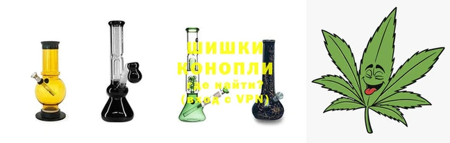 мдпв Ладушкин
