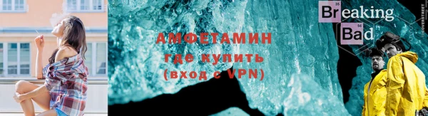 мдпв Ладушкин