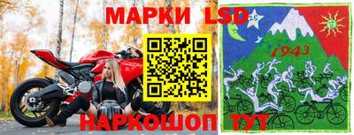 молекула духа Будённовск