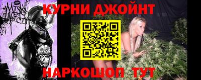 молекула духа Будённовск