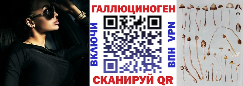 Псилоцибиновые грибы Psilocybine cubensis  где можно купить   Чебоксары 