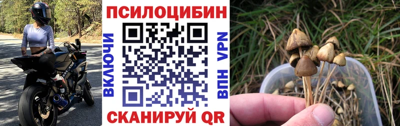 Псилоцибиновые грибы MAGIC MUSHROOMS Чебоксары