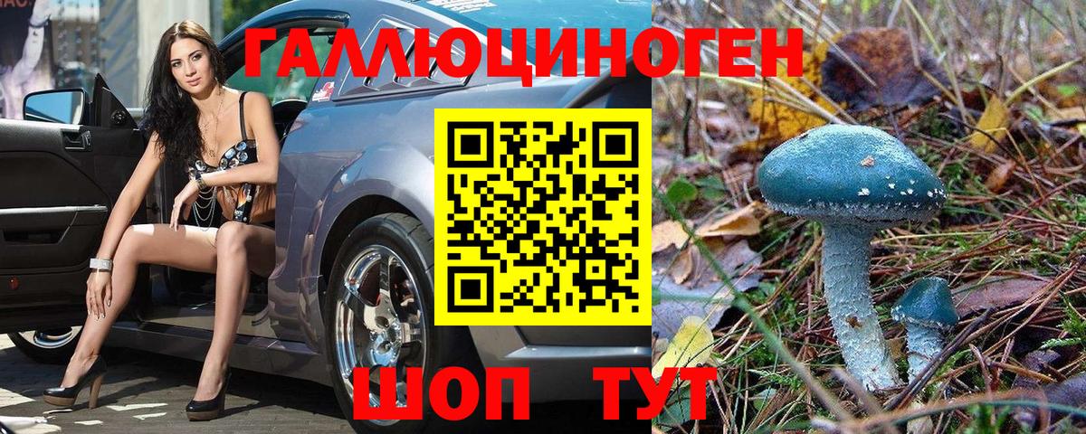 Чебоксары  Галлюциногенные грибы Psilocybe  Вход с VPN 