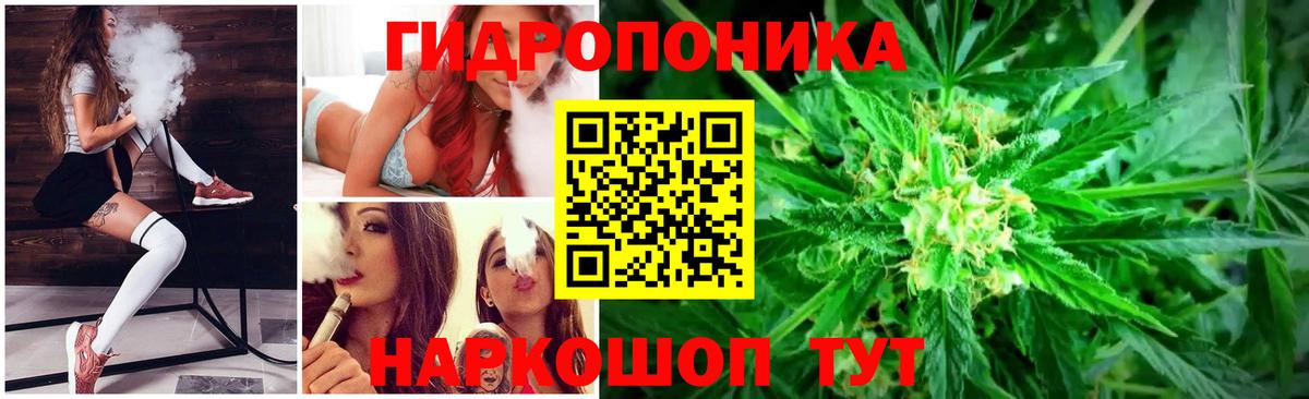 Шишки марихуана план Чебоксары