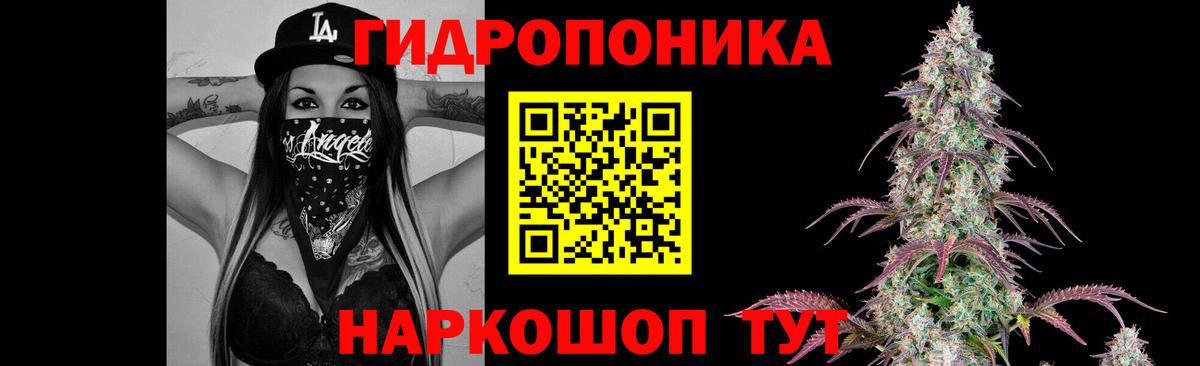 Чебоксары  Шишки марихуана Bruce Banner  Конопля Bruce Banner  Бошки марихуана White Widow  МАРИХУАНА VHQ  Вход с VPN 